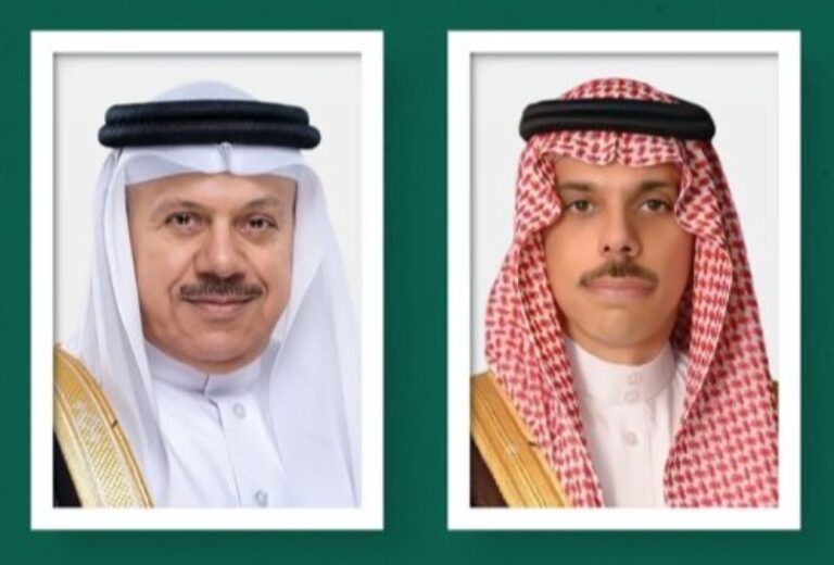 وزير-الخارجية-ونظيره-البحريني-يبحثان-الأوضاع-في-المنطقة