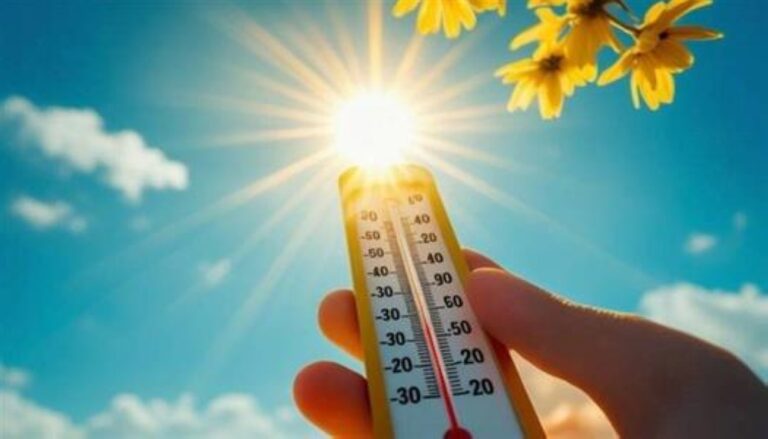 الدمام-41-مئوية-والرياض-42.-بيان-درجات-الحرارة-في-السعودية
