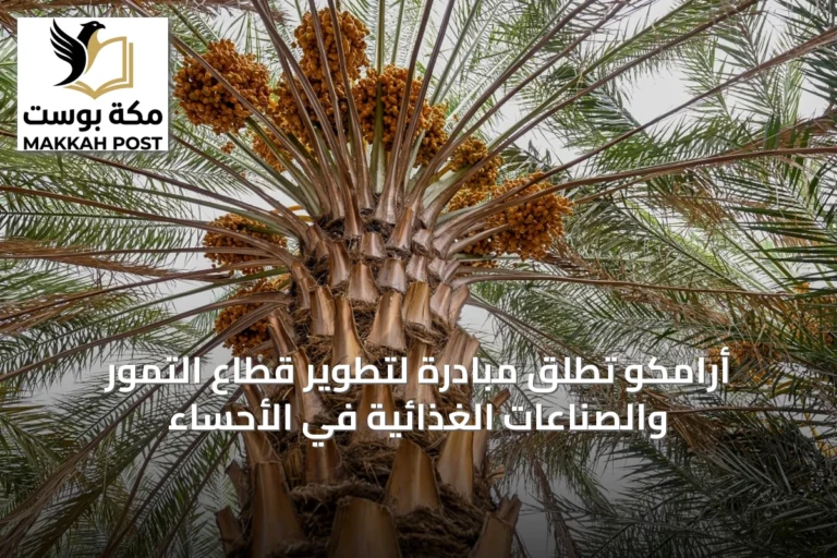 أرامكو تطلق مبادرة لتطوير قطاع التمور والصناعات الغذائية في الأحساء