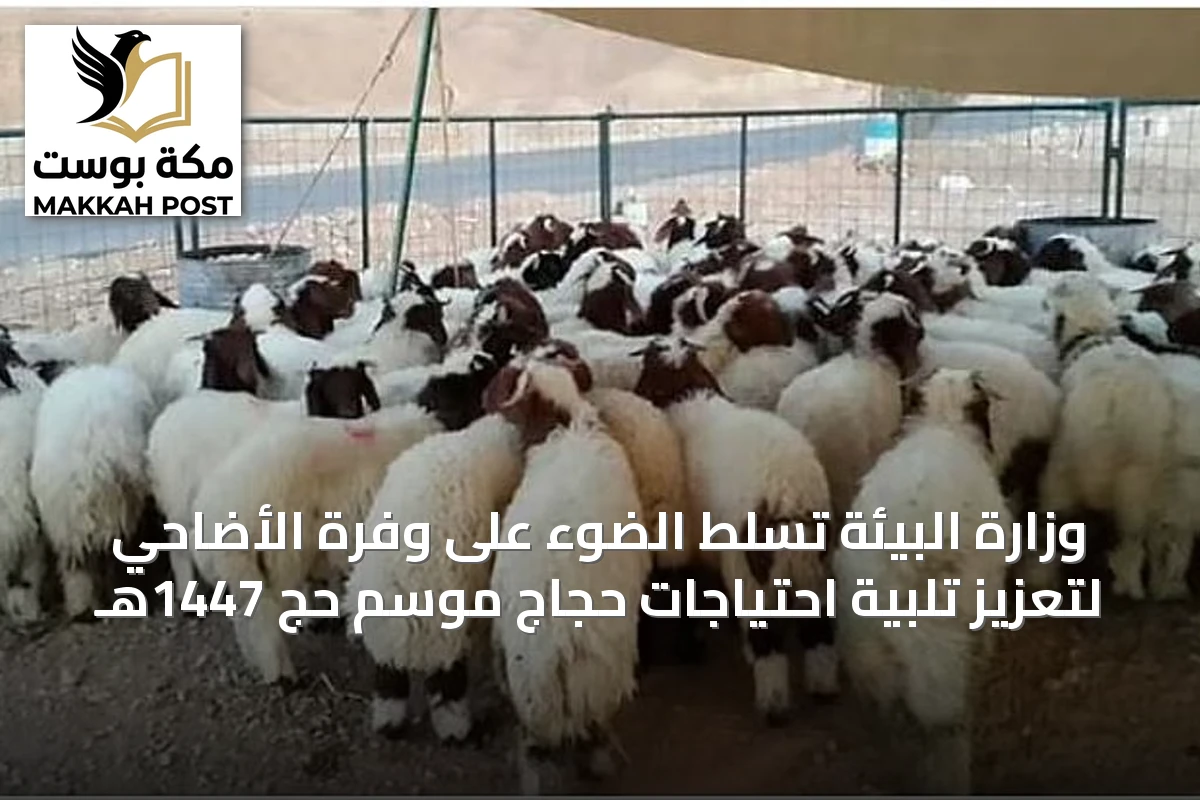 وزارة البيئة تسلط الضوء على وفرة الأضاحي لتعزيز تلبية احتياجات حجاج موسم حج 1447هـ
