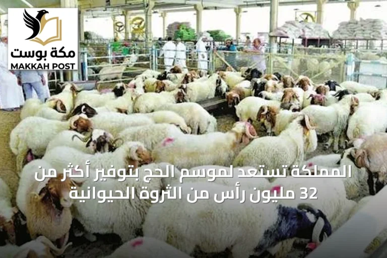 المملكة تستعد لموسم الحج بتوفير أكثر من 32 مليون رأس من الثروة الحيوانية