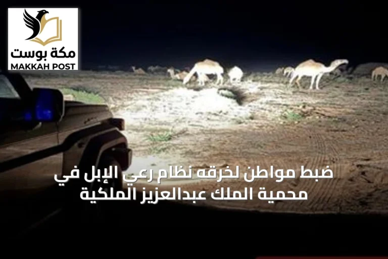 ضبط مواطن لخرقه نظام رعي الإبل في محمية الملك عبدالعزيز الملكية