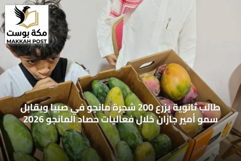 طالب ثانوية يزرع 200 شجرة مانجو في صبيا ويُقابل سمو أمير جازان خلال فعاليات حصاد المانجو 2026