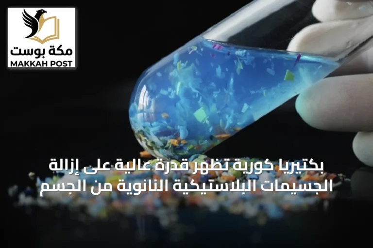 بكتيريا كورية تُظهر قدرة عالية على إزالة الجسيمات البلاستيكية النانوية من الجسم