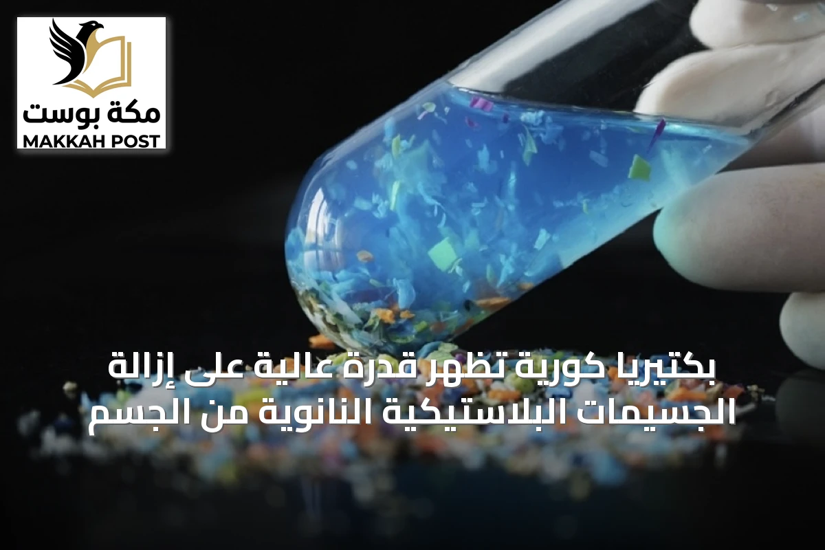 بكتيريا كورية تُظهر قدرة عالية على إزالة الجسيمات البلاستيكية النانوية من الجسم