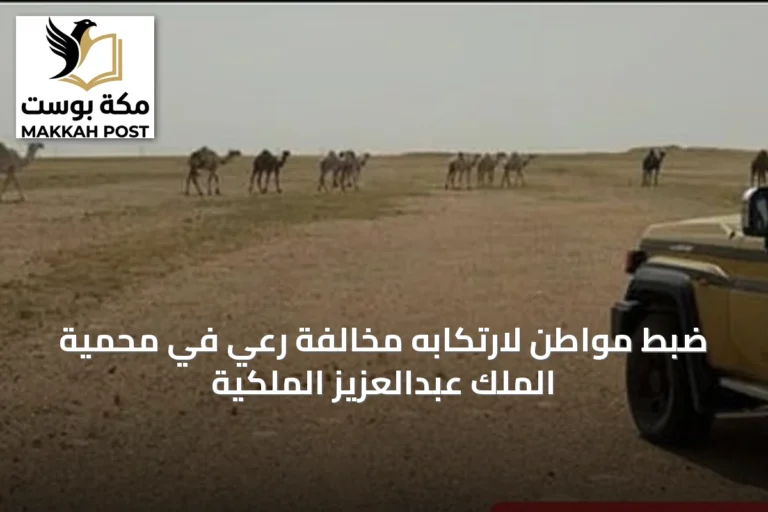 ضبط مواطن لارتكابه مخالفة رعي في محمية الملك عبدالعزيز الملكية