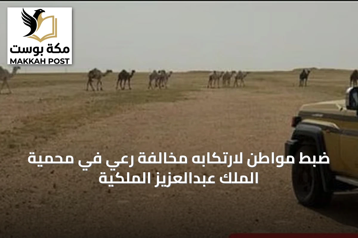 ضبط مواطن لارتكابه مخالفة رعي في محمية الملك عبدالعزيز الملكية