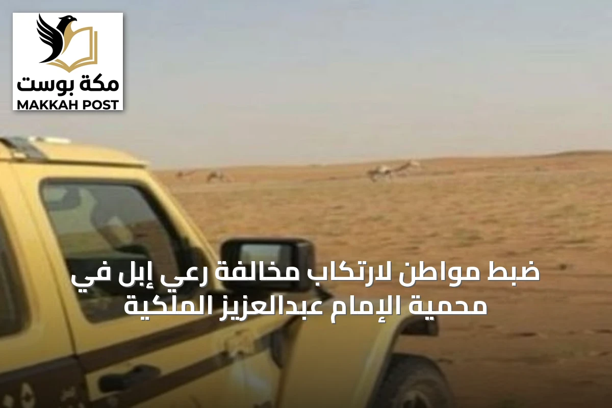 ضبط مواطن لارتكاب مخالفة رعي إبل في محمية الإمام عبدالعزيز الملكية