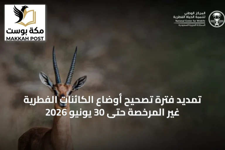 تمديد فترة تصحيح أوضاع الكائنات الفطرية غير المرخصة حتى 30 يونيو 2026