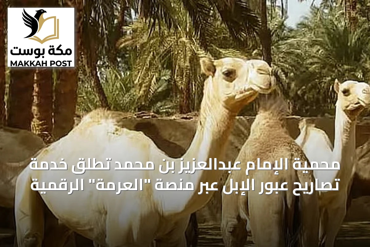 محمية الإمام عبدالعزيز بن محمد تطلق خدمة تصاريح عبور الإبل عبر منصة "العرمة" الرقمية
