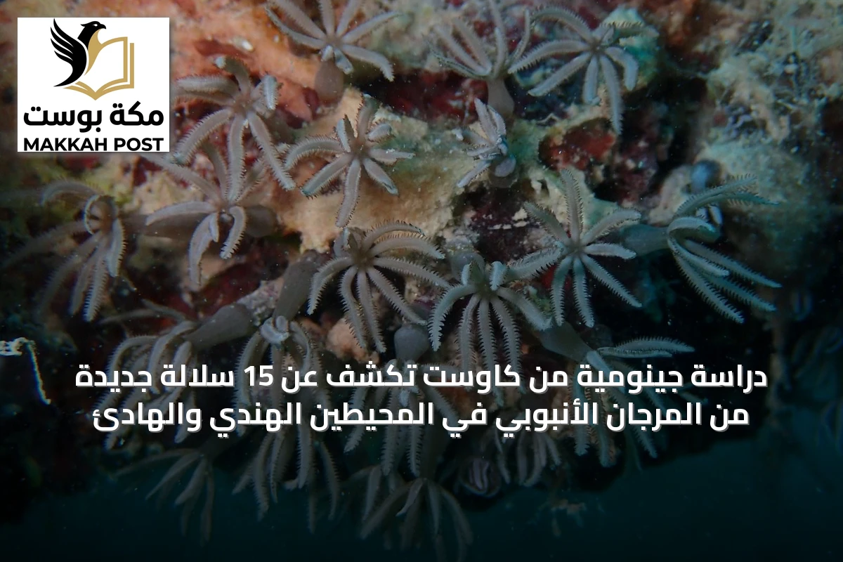 دراسة جينومية من كاوست تكشف عن 15 سلالة جديدة من المرجان الأنبوبي في المحيطين الهندي والهادئ