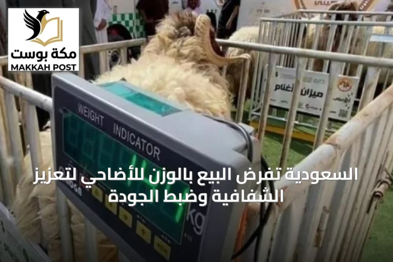 السعودية تفرض البيع بالوزن للأضاحي لتعزيز الشفافية وضبط الجودة