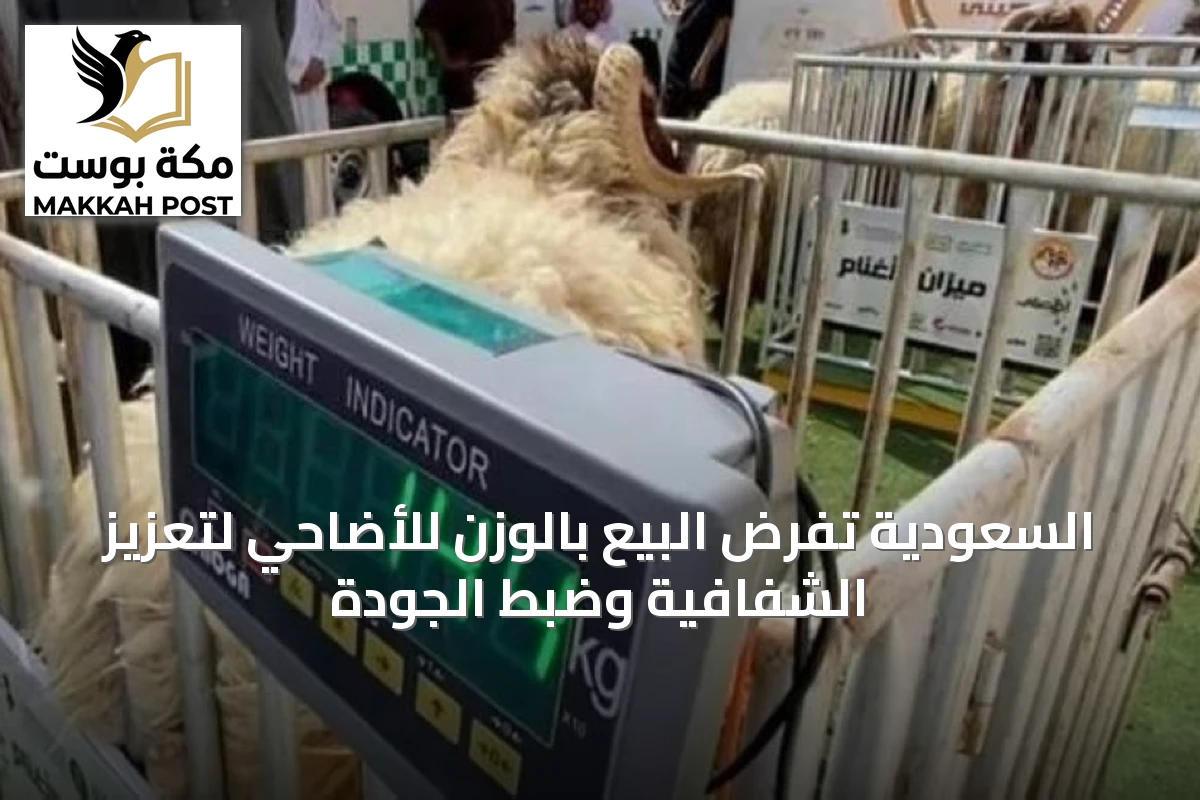 السعودية تفرض البيع بالوزن للأضاحي لتعزيز الشفافية وضبط الجودة