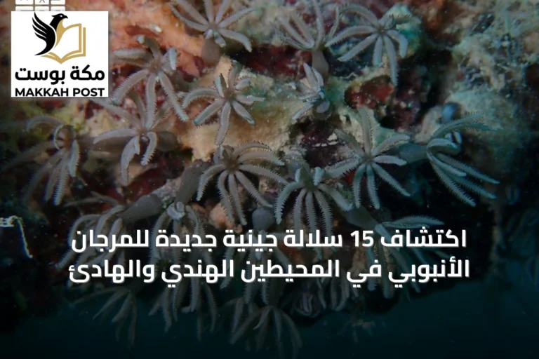اكتشاف 15 سلالة جينية جديدة للمرجان الأنبوبي في المحيطين الهندي والهادئ