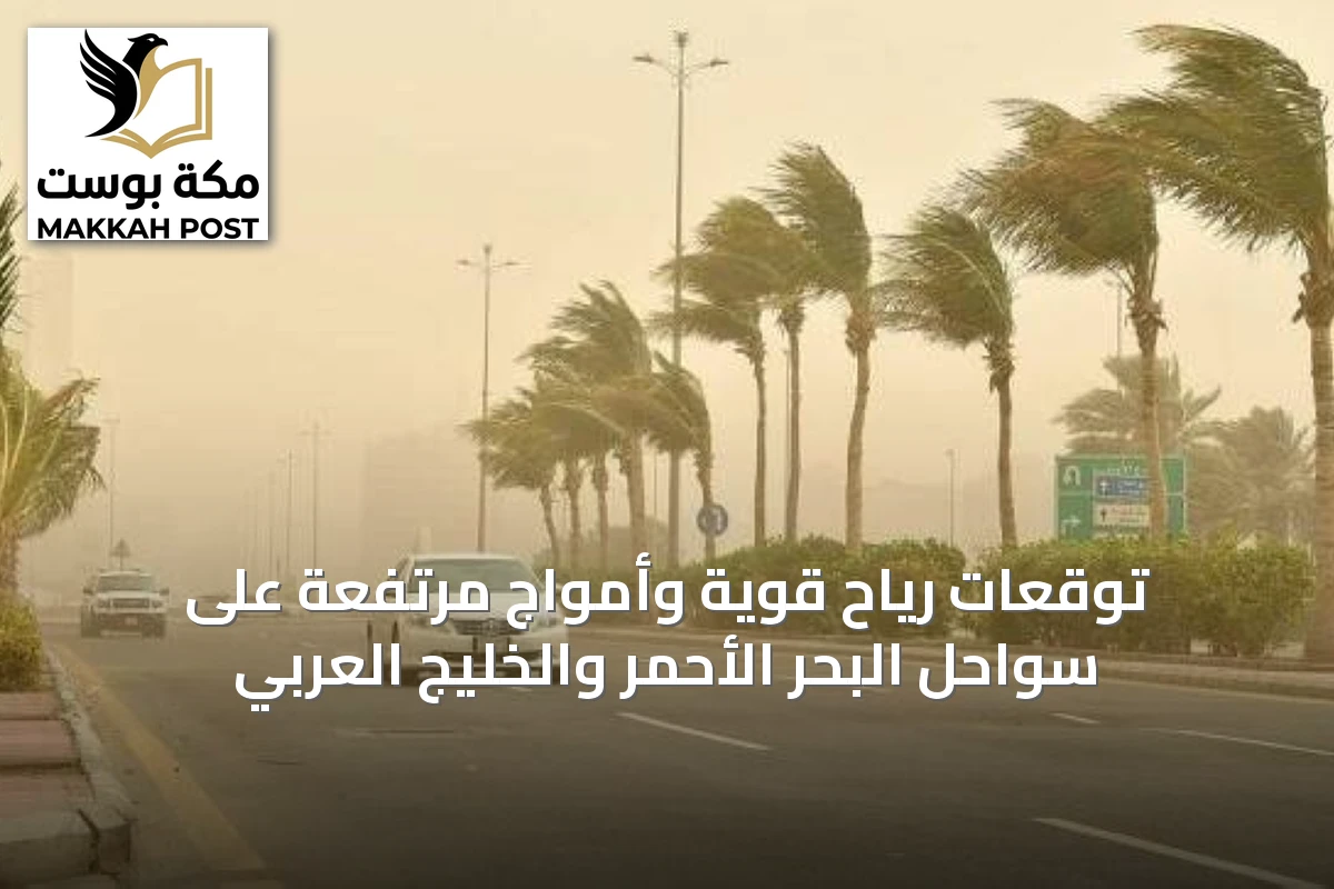 توقعات رياح قوية وأمواج مرتفعة على سواحل البحر الأحمر والخليج العربي