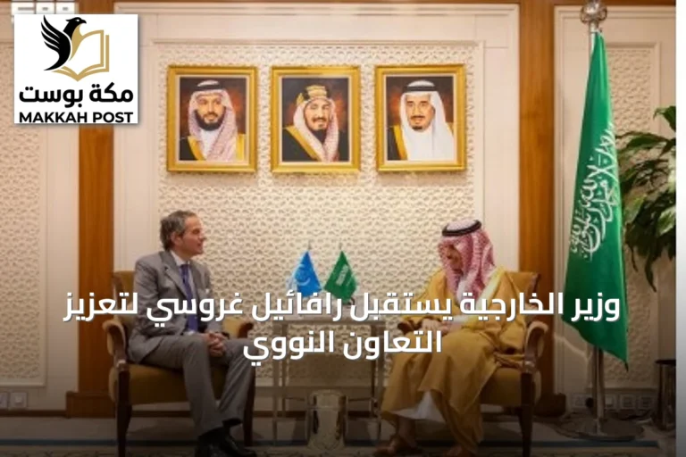 وزير الخارجية يستقبل رافائيل غروسي لتعزيز التعاون النووي