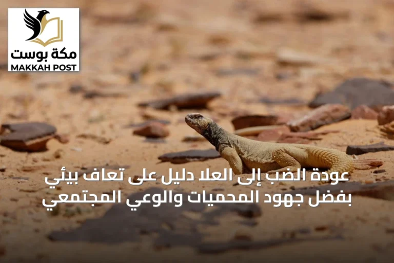 عودة الضب إلى العلا دليل على تعافٍ بيئي بفضل جهود المحميات والوعي المجتمعي