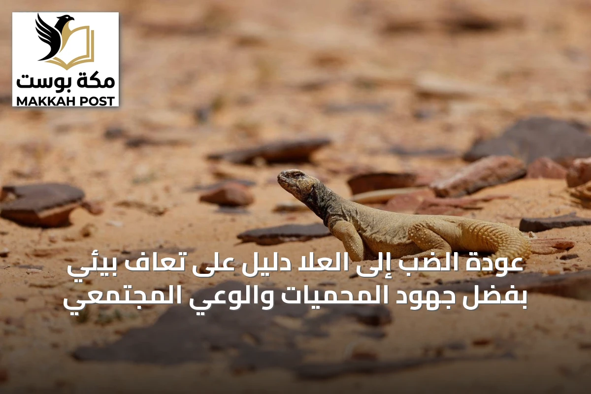 عودة الضب إلى العلا دليل على تعافٍ بيئي بفضل جهود المحميات والوعي المجتمعي