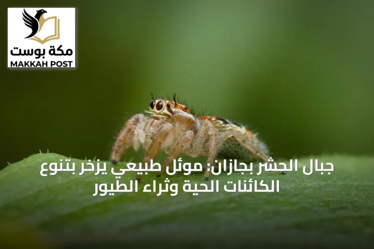 جبال الحشر بجازان: موئل طبيعي يزخر بتنوع الكائنات الحية وثراء الطيور