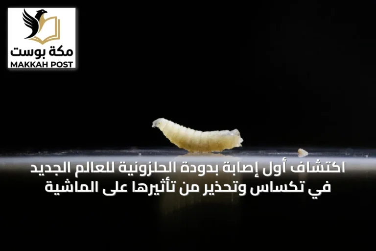 اكتشاف أول إصابة بدودة الحلزونية للعالم الجديد في تكساس وتحذير من تأثيرها على الماشية