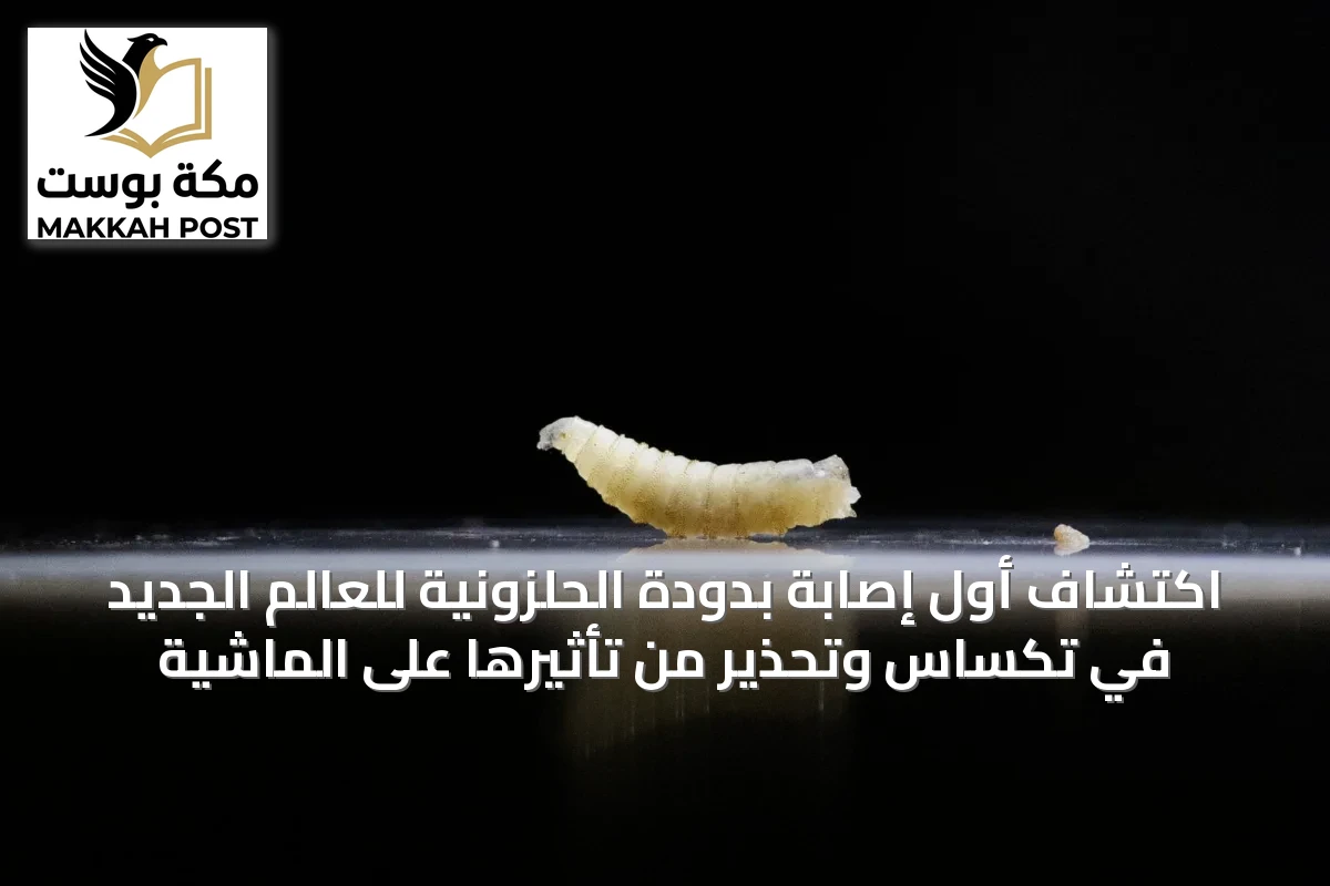اكتشاف أول إصابة بدودة الحلزونية للعالم الجديد في تكساس وتحذير من تأثيرها على الماشية