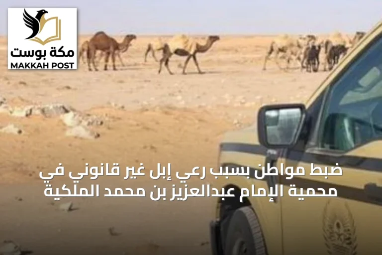 ضبط مواطن بسبب رعي إبل غير قانوني في محمية الإمام عبدالعزيز بن محمد الملكية