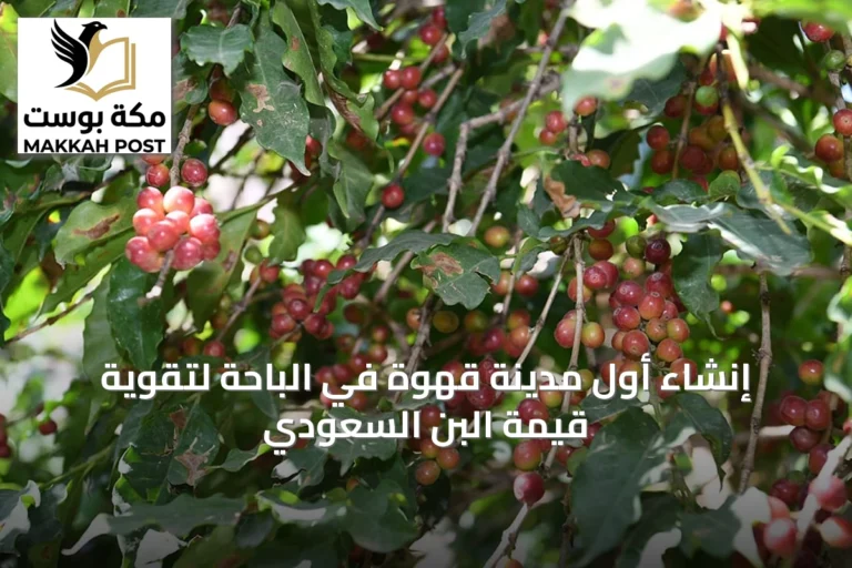إنشاء أول مدينة قهوة في الباحة لتقوية قيمة البن السعودي