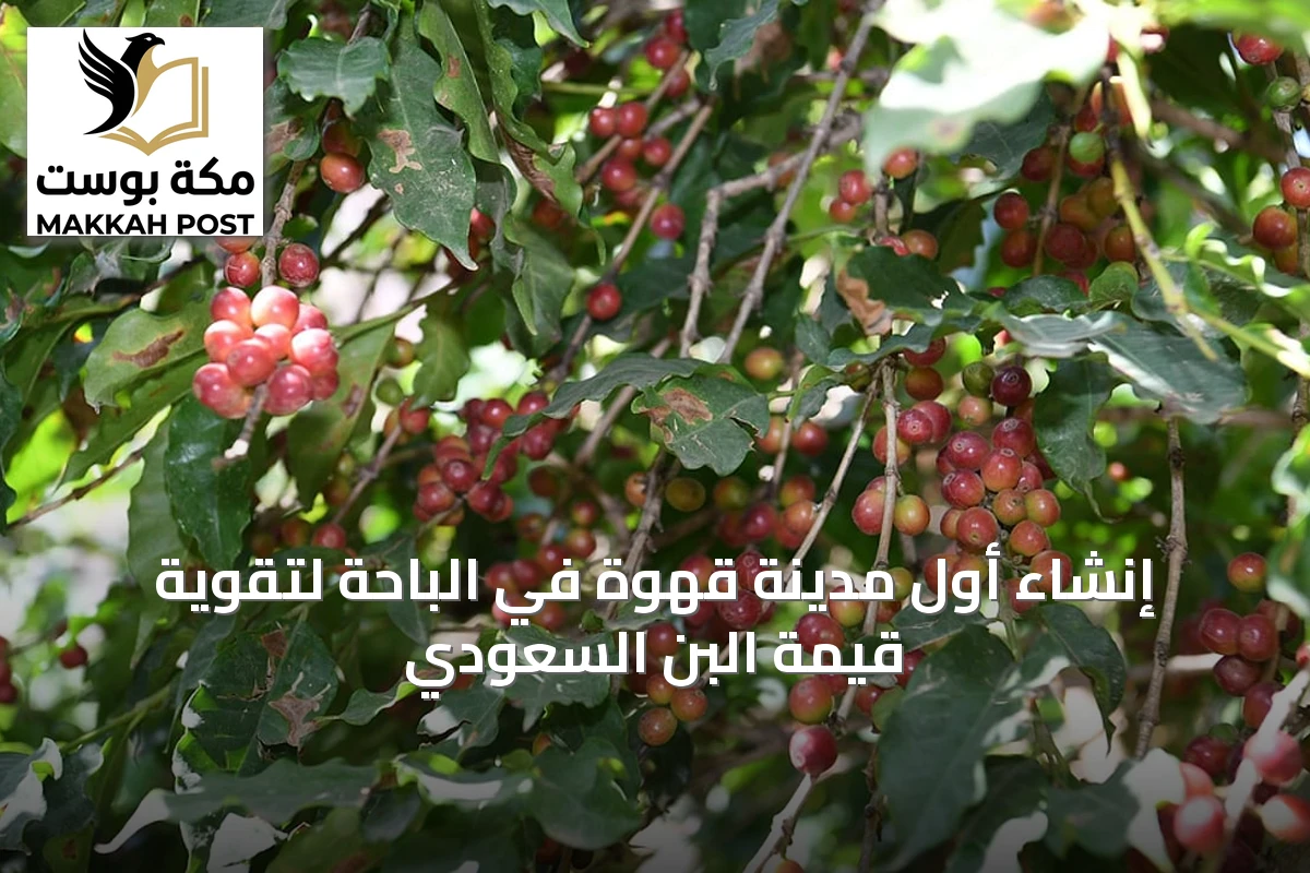 إنشاء أول مدينة قهوة في الباحة لتقوية قيمة البن السعودي