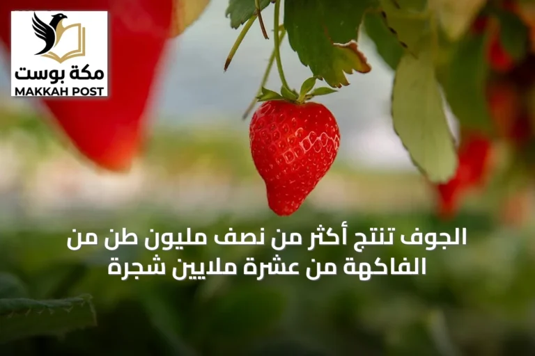 الجوف تُنتج أكثر من نصف مليون طن من الفاكهة من عشرة ملايين شجرة