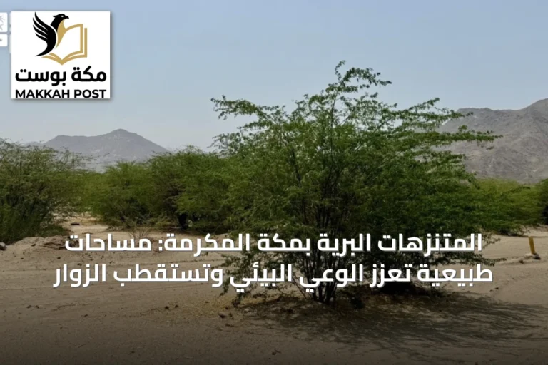 المتنزهات البرية بمكة المكرمة: مساحات طبيعية تعزز الوعي البيئي وتستقطب الزوار
