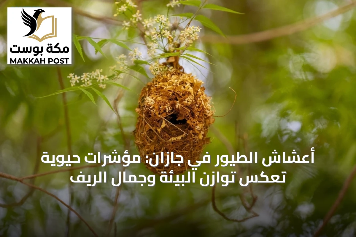 أعشاش الطيور في جازان: مؤشرات حيوية تعكس توازن البيئة وجمال الريف