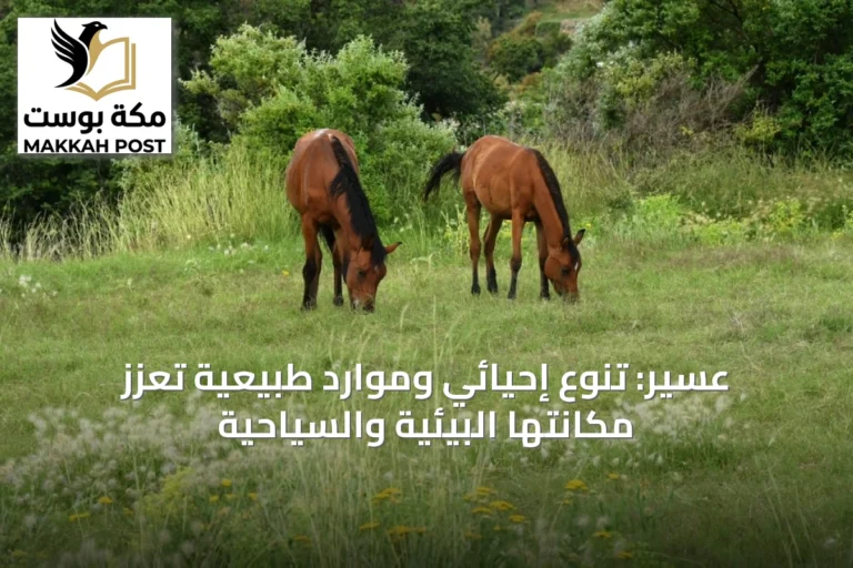 عسير: تنوع إحيائي وموارد طبيعية تعزز مكانتها البيئية والسياحية