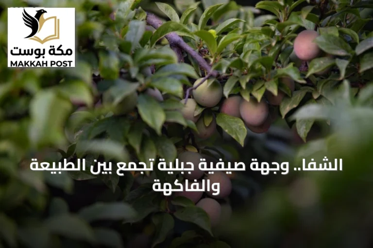 الشفا.. وجهة صيفية جبلية تجمع بين الطبيعة والفاكهة