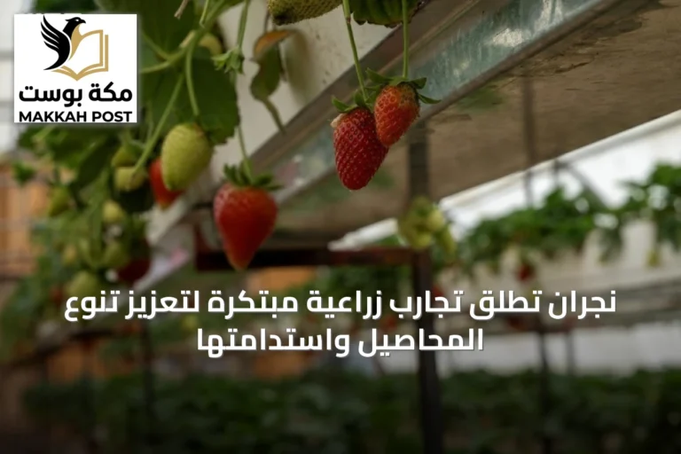 نجران تطلق تجارب زراعية مبتكرة لتعزيز تنوع المحاصيل واستدامتها