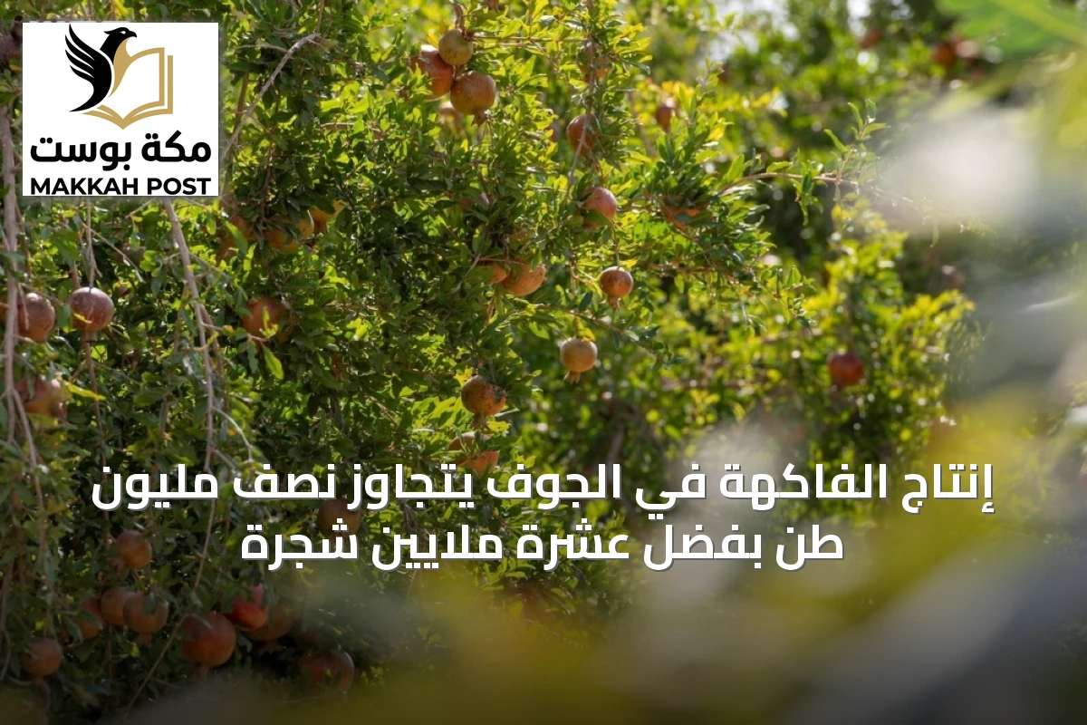 إنتاج الفاكهة في الجوف يتجاوز نصف مليون طن بفضل عشرة ملايين شجرة
