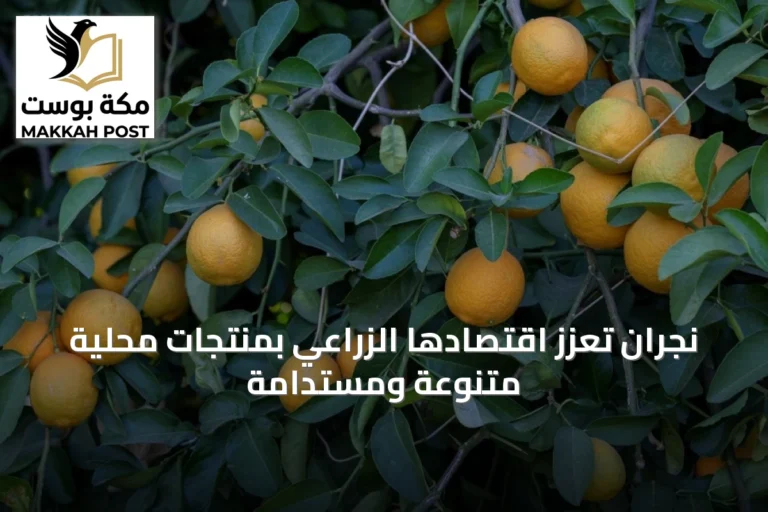 نجران تُعزّز اقتصادها الزراعي بمنتجات محلية متنوعة ومستدامة