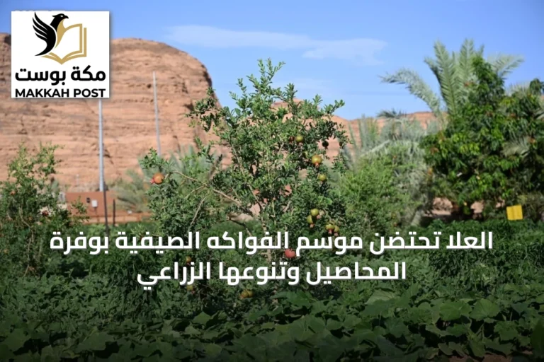 العلا تحتضن موسم الفواكه الصيفية بوفرة المحاصيل وتنوعها الزراعي