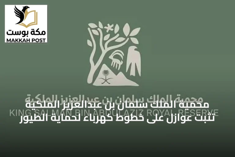 محمية الملك سلمان بن عبدالعزيز الملكية تثبت عوازل على خطوط كهرباء لحماية الطيور