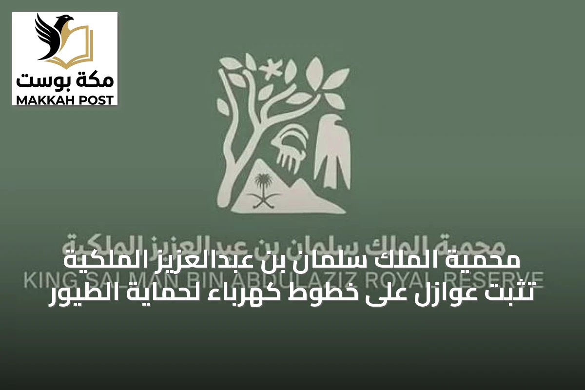 محمية الملك سلمان بن عبدالعزيز الملكية تثبت عوازل على خطوط كهرباء لحماية الطيور