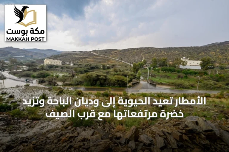 الأمطار تعيد الحيوية إلى وديان الباحة وتزيد خضرة مرتفعاتها مع قرب الصيف