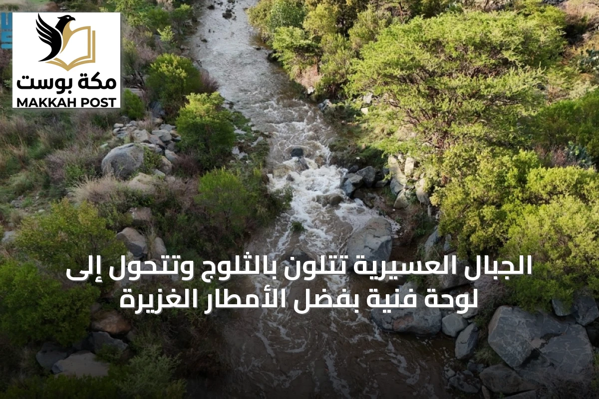 الجبال العسيرية تتلون بالثلوج وتتحول إلى لوحة فنية بفضل الأمطار الغزيرة