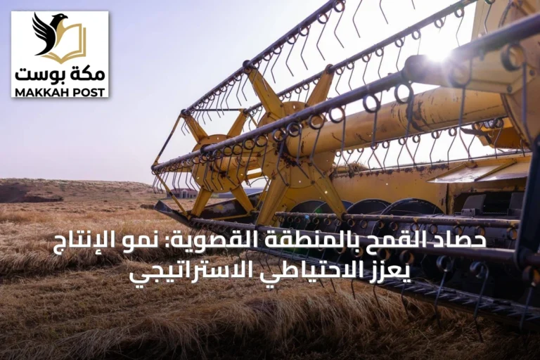 حصاد القمح بالمنطقة القصوية: نمو الإنتاج يعزز الاحتياطي الاستراتيجي