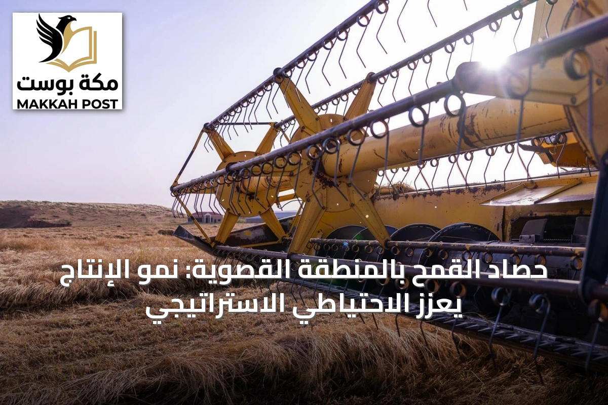 حصاد القمح بالمنطقة القصوية: نمو الإنتاج يعزز الاحتياطي الاستراتيجي