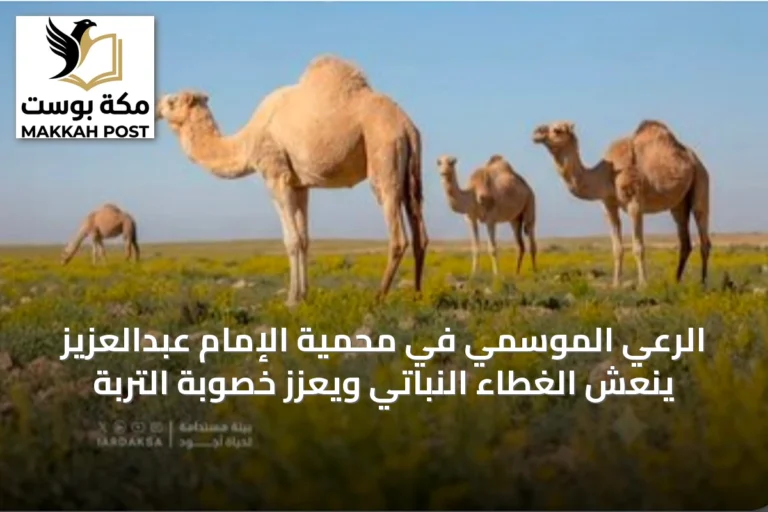 الرعي الموسمي في محمية الإمام عبدالعزيز ينعش الغطاء النباتي ويعزز خصوبة التربة