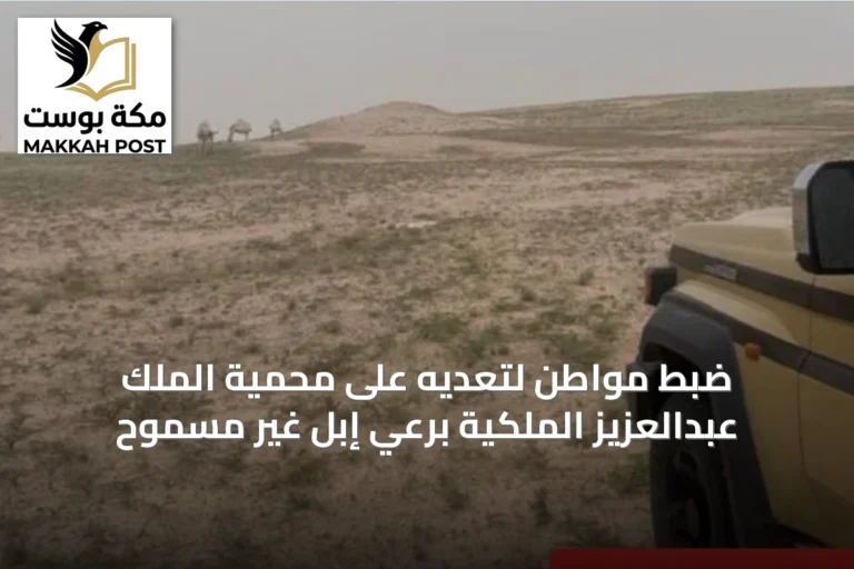 ضبط مواطن لتعديه على محمية الملك عبدالعزيز الملكية برعي إبل غير مسموح