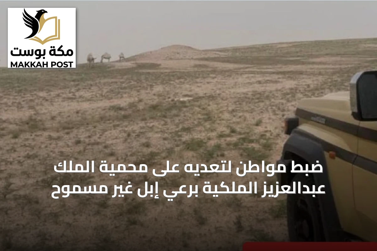 ضبط مواطن لتعديه على محمية الملك عبدالعزيز الملكية برعي إبل غير مسموح