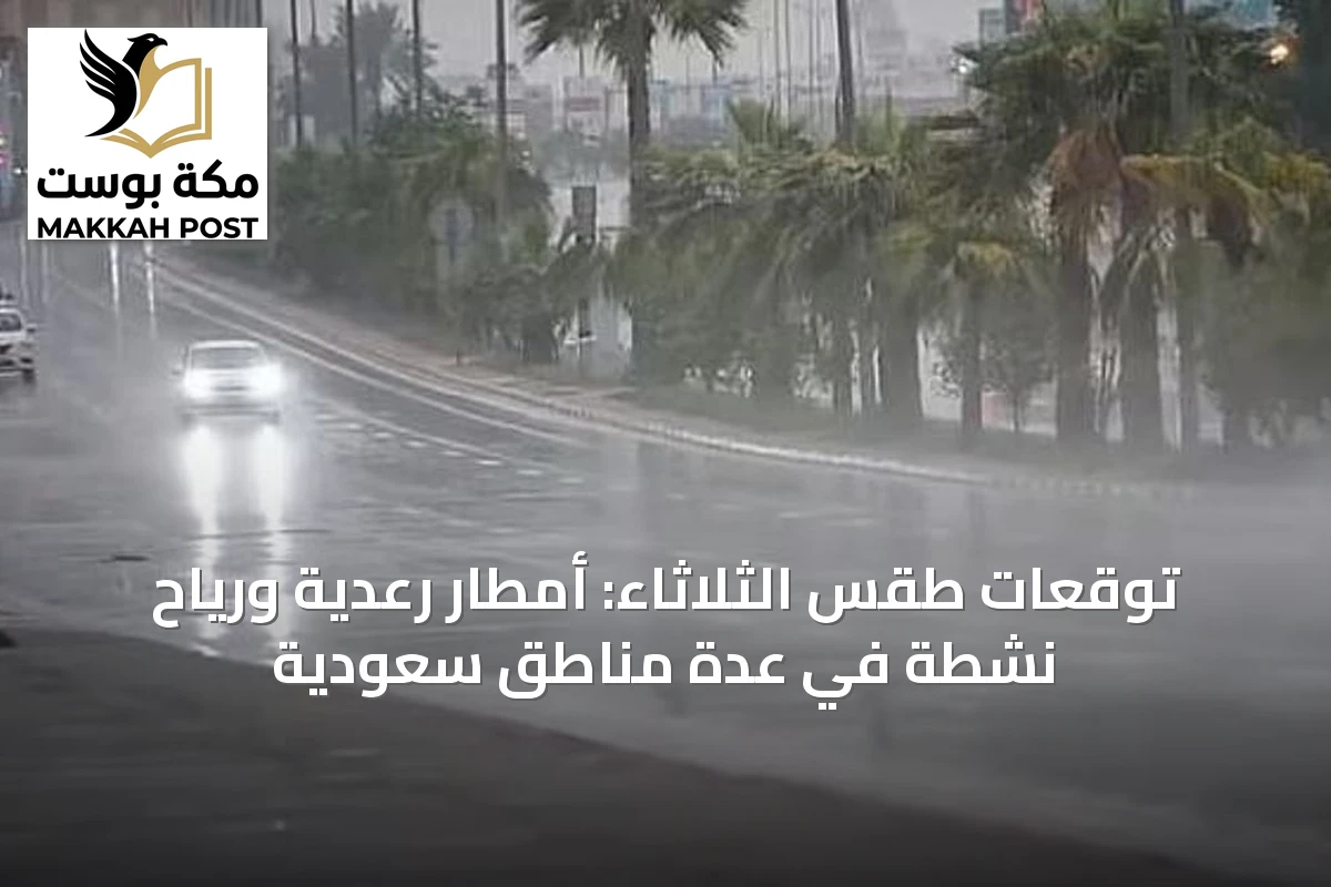 توقعات طقس الثلاثاء: أمطار رعدية ورياح نشطة في عدة مناطق سعودية