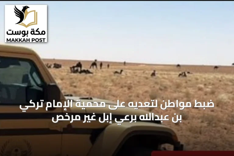 ضبط مواطن لتعديه على محمية الإمام تركي بن عبدالله برعي إبل غير مرخص