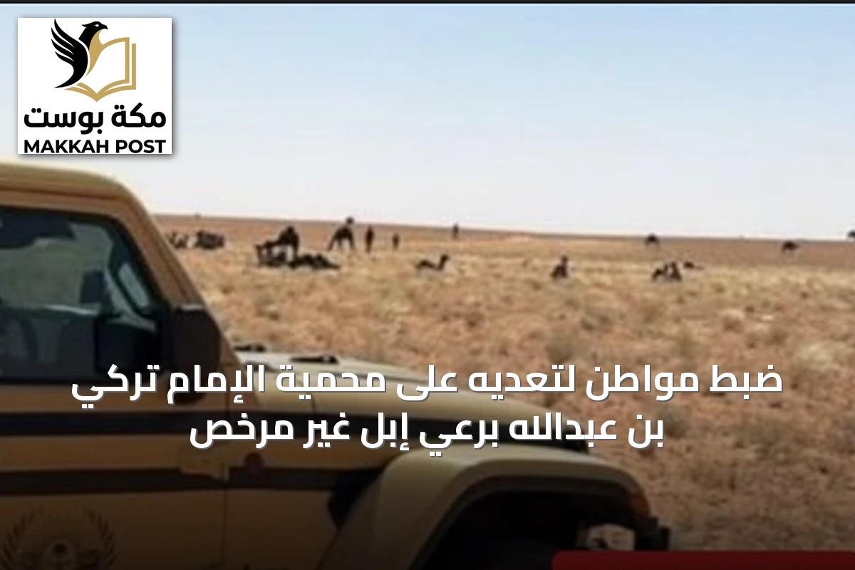 ضبط مواطن لتعديه على محمية الإمام تركي بن عبدالله برعي إبل غير مرخص