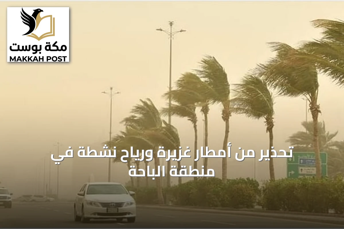 تحذير من أمطار غزيرة ورياح نشطة في منطقة الباحة